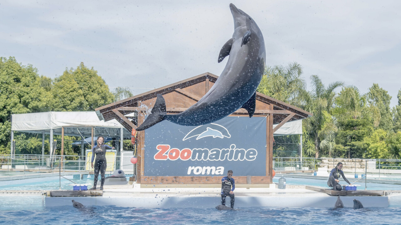 Ecopedalata di Carnevale allo Zoomarine: divertimento in bici tra maschere e mascotte