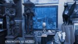 Scopri la Magia della Casa Museo Wunderkammer: Visite Guidate Notturne Imperdibili