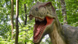 Dinosauri in città, mostra interattiva a Roma per scoprire la preistoria