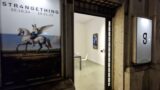 Str4ngething, la mostra a Roma: arte e AI si incontrano in esclusivi NFT