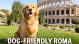 Dog-friendly Roma: parchi, locali e spiagge dove andare con il cane