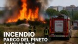 Incendio al Parco del Pineto a Roma: fiamme in zona Pineta Sacchetti, Vigili del Fuoco sul posto