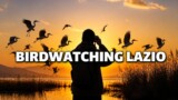 Birdwatching e riserve naturali vicino Roma: dove osservare gli uccelli nella natura